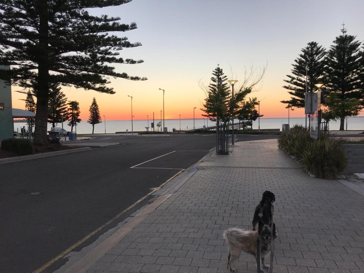 Big4 Ceduna Tourist Park Esterno foto
